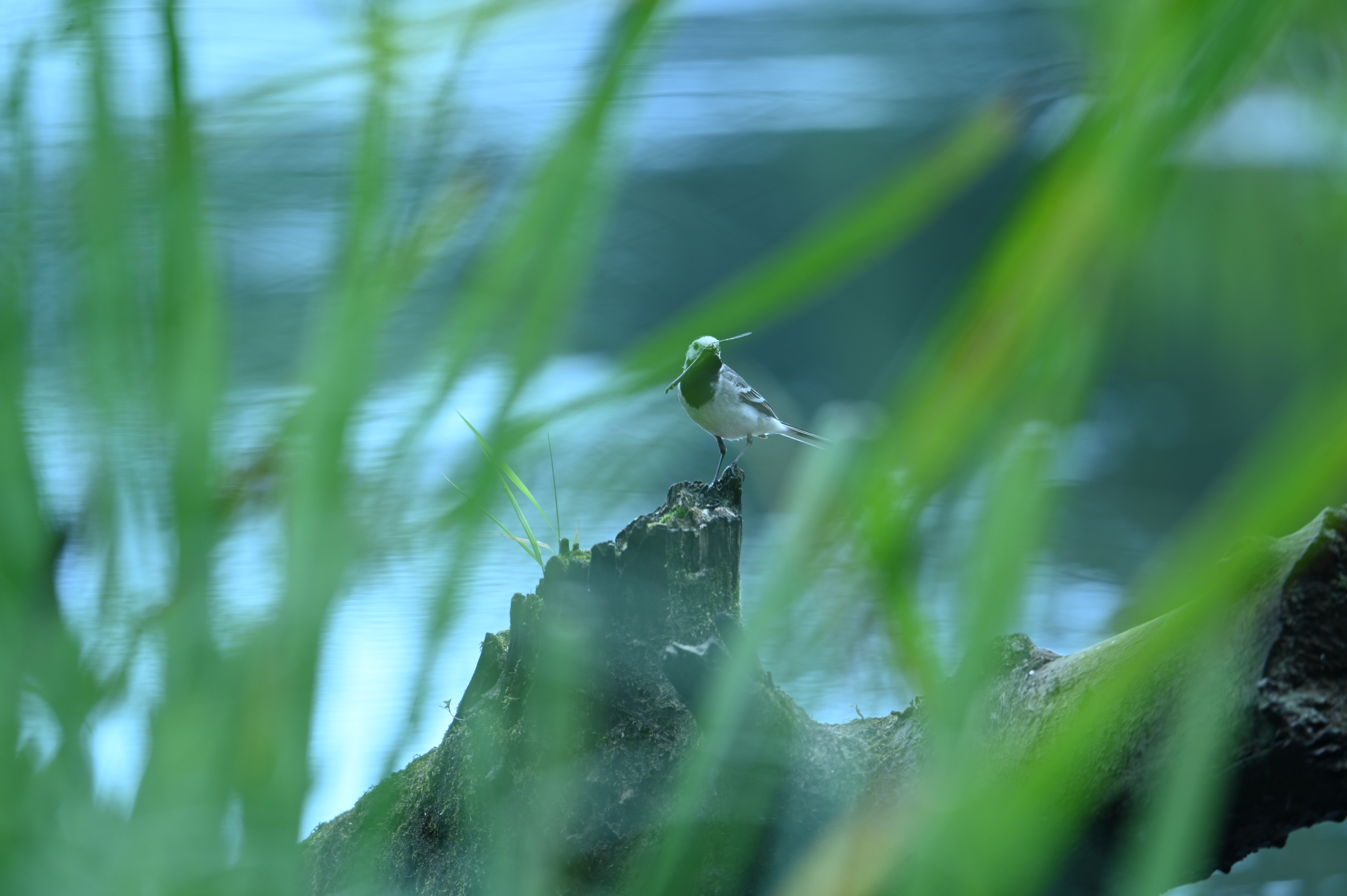 2025/07/09-14 - trip/DSC_0418.JPG